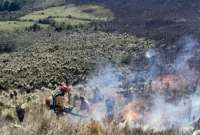 En redes sociales se han compartido im&aacute;genes y videos de lo que ocurre en la Reserva Ecol&oacute;gica El &Aacute;ngel , en Carchi.