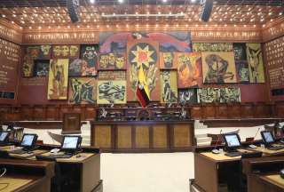 El partido oficialista ADN alcanz&oacute; 10 curules en la Asamblea en la provincia de Pichincha