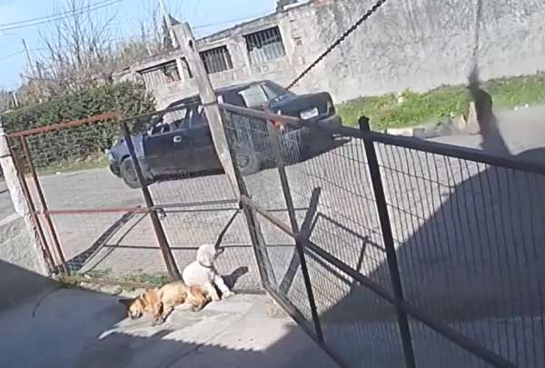 Una c&aacute;mara de seguridad grab&oacute; el momento