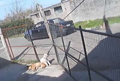 Una c&aacute;mara de seguridad grab&oacute; el momento