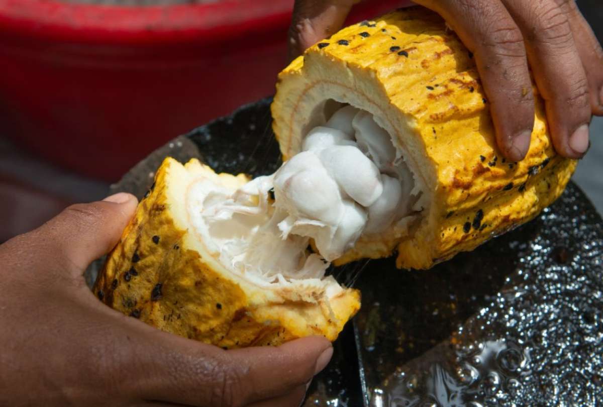 Ecuador firmar&aacute; un acuerdo comercial importante con Corea del Sur