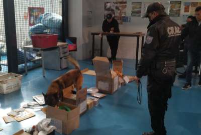 Polic&iacute;a incaut&oacute; m&aacute;s de 5mil dosis de coca&iacute;na