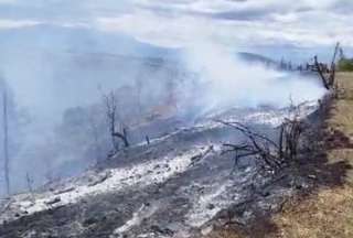11 alertas de incendios forestales y quemas de desechos se reportaron en Quito