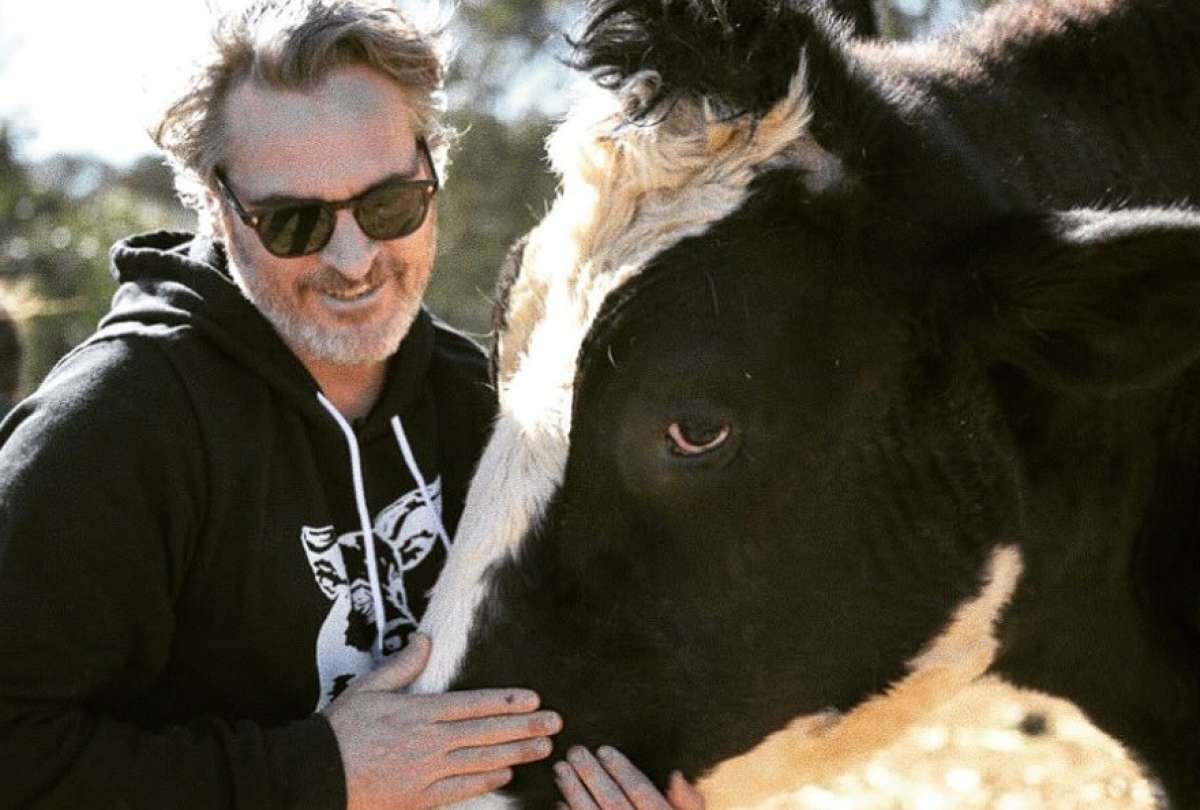 Joaquin Phoenix, actor del ‘Joker’, exigió la liberación de dos osos de un zoológico en Estados Unidos.