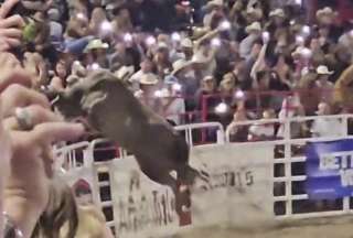 Estados Unidos: Tres heridos en un rodeo