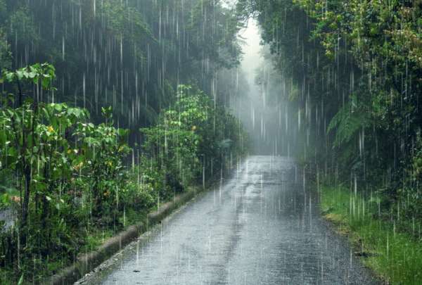 Las lluvias volver&aacute;n a presentarse en Ecuador, tras un largo per&iacute;odo de estaci&oacute;n seca. 