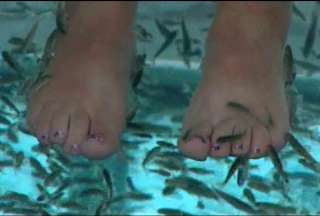 Una mujer perdi&oacute; sus dedos tras un tratamiento con peces