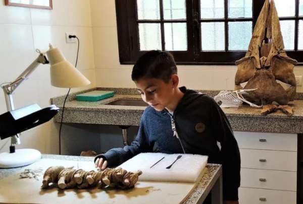 Se trataba de los restos p&eacute;lvicos y la cola articulada de un perezoso gigante.
