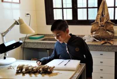 Se trataba de los restos p&eacute;lvicos y la cola articulada de un perezoso gigante.