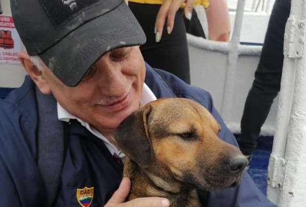 R&iacute;o Pe&ntilde;a, el perrito que fue rescatado del r&iacute;o Guayas, ya tiene un hogar.&nbsp;