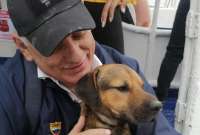Río Peña, el perrito que fue rescatado del río Guayas, ya tiene un hogar. 