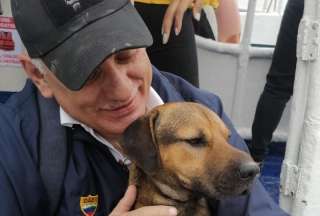Perrito salvado del r&iacute;o Guayas encontr&oacute; hogar
