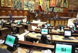 Elecciones Ecuador 2025: ADN lidera asamble&iacute;stas en el exterior