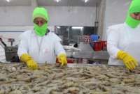 Tras la firma del acuerdo comercial entre Ecuador y Costa Rica, 84% de productos de exportación no pagarán aranceles. 