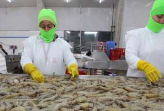 84% de productos que se exportan a Costa Rica no pagar&aacute;n aranceles
