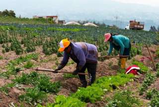 Cr&eacute;dito productivo aument&oacute; un 15,7% con respecto a 2024