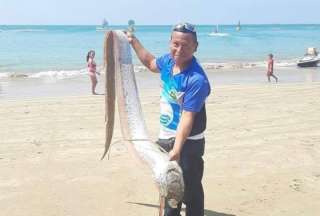 Pez remo fue captado en la playa de Salinas