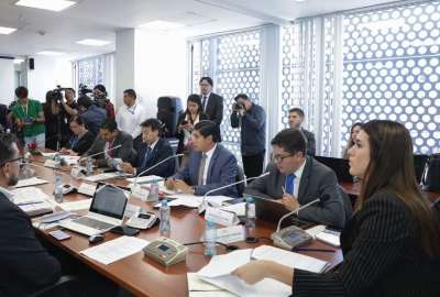 La Comisi&oacute;n de esarrolo Econ&oacute;mico de la Asamblea aprb&oacute; el informe. 