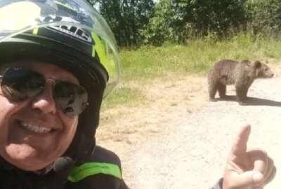 Turista muere tras tomarse selfie con un oso