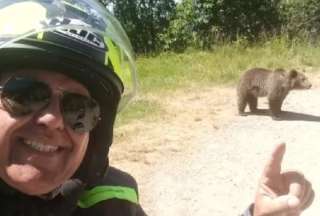 Turista muere tras tomarse selfie con un oso