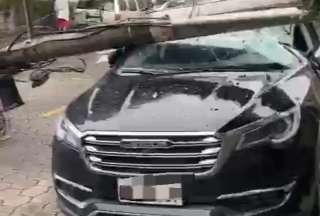Ca&iacute;da de &aacute;rboles y postes afecta a veh&iacute;culos en El Condado, Quito