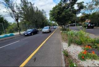 Quito: Inicia la rehabilitaci&oacute;n de la av. Mariana de Jes&uacute;s