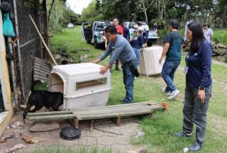 Quito: mascotas encadenadas fueron rescatadas en el Parque Itchimb&iacute;a