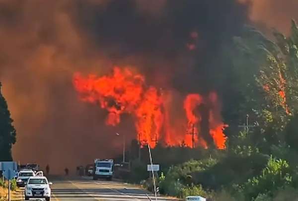 Los incendios en la Patagonia, Argentina, han afectado a m&aacute;s de 20.000 hect&aacute;reas.&nbsp;