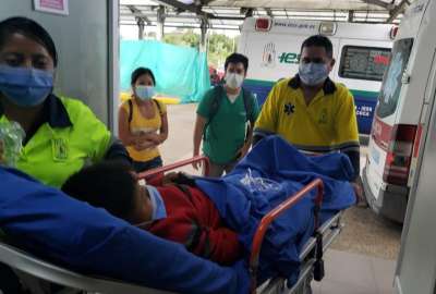 Un ni&ntilde;o fue atendido en Orellana por una mordedura de serpiente