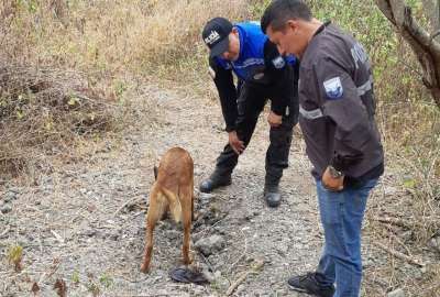 La Polic&iacute;a Nacional confirm&oacute; el hallazgo de las osamentas en un sector conocido como Punta Arrecha.