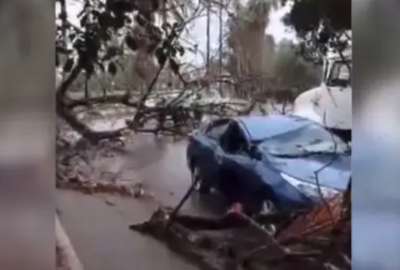 La vicepresidenta Delcy Rodríguez sufrió un accidente mientras viajaba a Cumanacoa. Un árbol cayó sobre su auto.