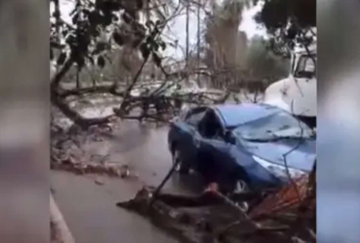 La vicepresidenta Delcy Rodríguez  sufrió un accidente mientras viajaba a Cumanacoa. Un árbol cayó sobre su auto.