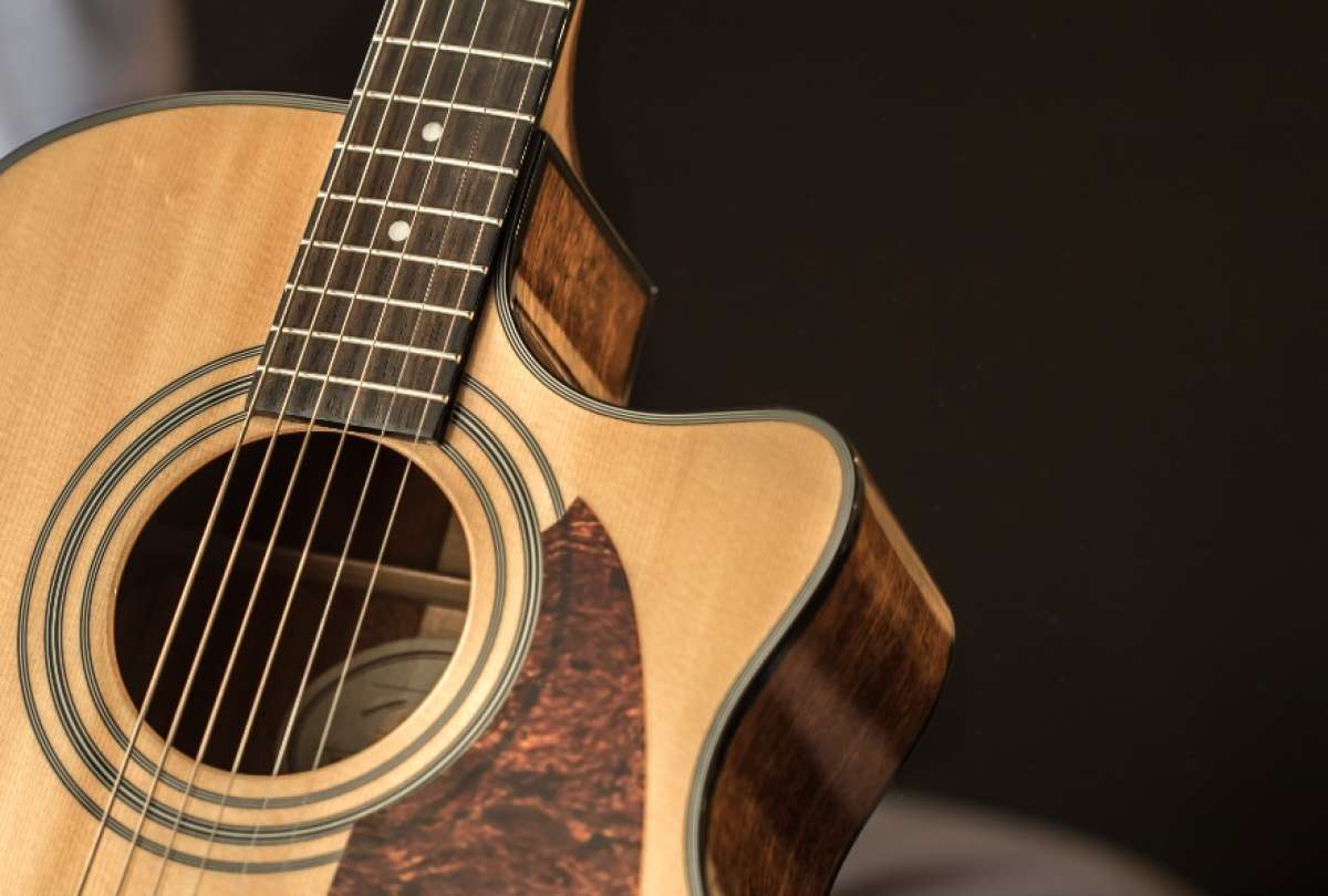 El talento ecuatoriano brilla en el D&iacute;a del Pasillo Ecuatoriano