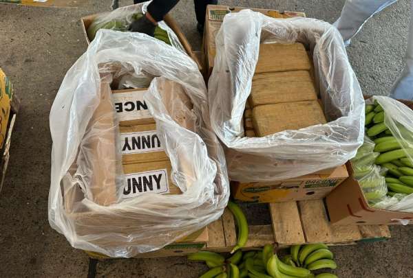 Los bloques de coca&iacute;na se encontraban ocultos en cajas de banano. 