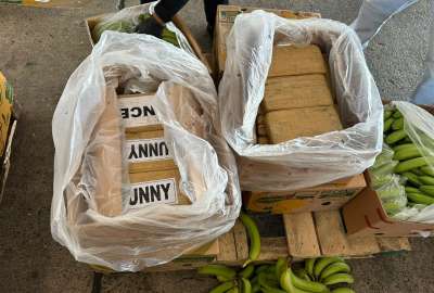 Los bloques de coca&iacute;na se encontraban ocultos en cajas de banano. 