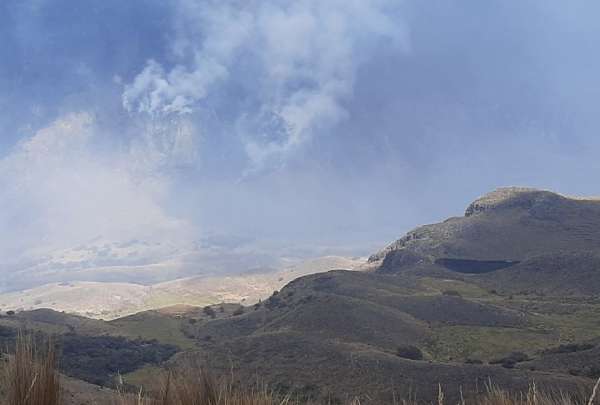 Los bomberos y personal de rescate han controlado el incendio al interior del Parque Nacional Cajas.&nbsp;