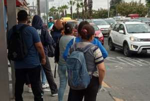 Solo 14 de 58 operadoras brindan el servicio de transporte en Guayaquil.&nbsp;