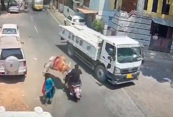 Este video se hizo viral en la India por lo extra&ntilde;o del suceso, la vaca simplemente ataco al hombre.