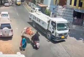 India: una vaca embisti&oacute; a un motociclista y huy&oacute;