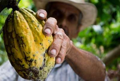 Estos son los productos que alcanzaron mayores exportaciones entre enero y noviembre.