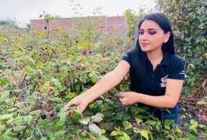 Durante el Gobierno se han entregado cerca de USD 992 millones en cr&eacute;ditos productivos a trav&eacute;s de 247 mil operaciones.