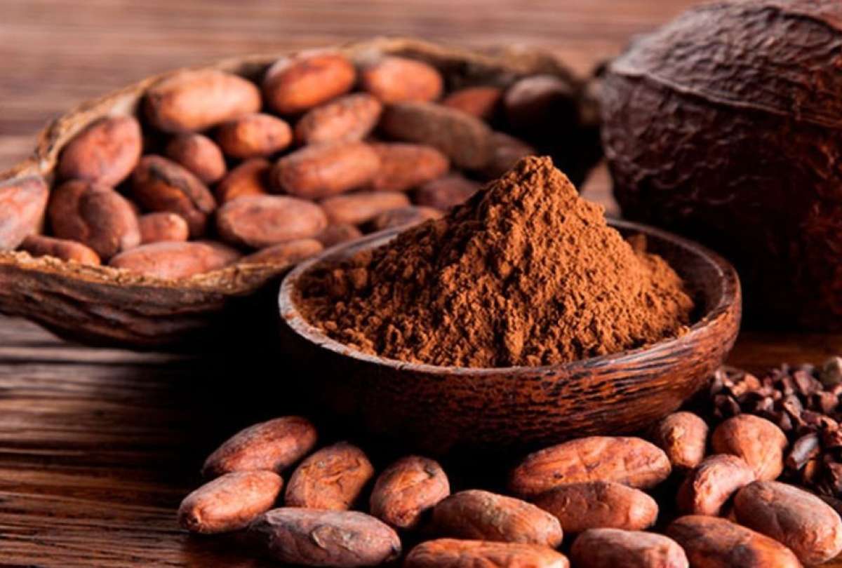 El cacao está entre los productos que exporta Ecuador hacia Estados Unidos.