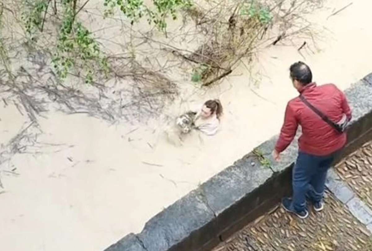 Una mujer rescató a un gato de un río crecido por inundaciones en España.