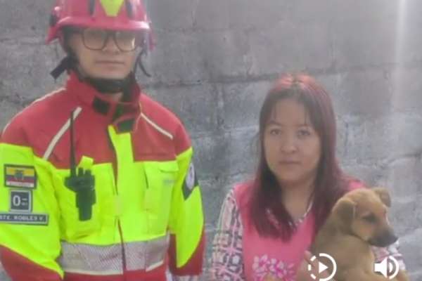 En Amagua&ntilde;a se realiz&oacute; el rescate de un perro. 
