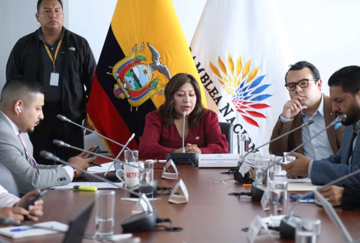 Inés Alarcón, presidenta de la Comisión, aseguró que los legisladores ausentes habrían intentado "bloquear" una investigación.
