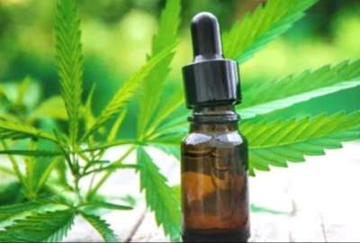 Compuestos del cannabis puede prevenir el ingreso del covid-19 en c&eacute;lulas humanas