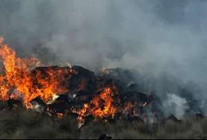 Cuatro ciudadanos fueron identificados como presuntos autores de incendios forestales en el Azuay.&nbsp;