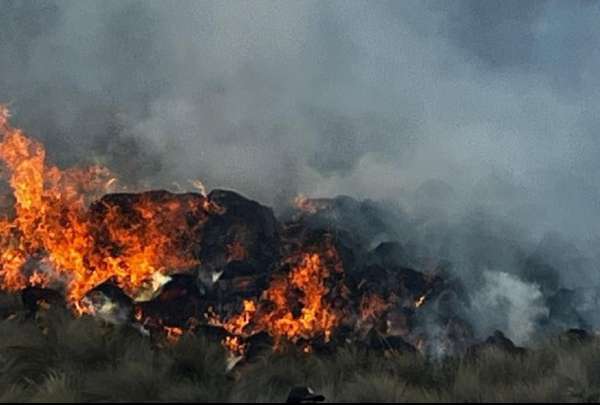 Cuatro ciudadanos fueron identificados como presuntos autores de incendios forestales en el Azuay.&nbsp;