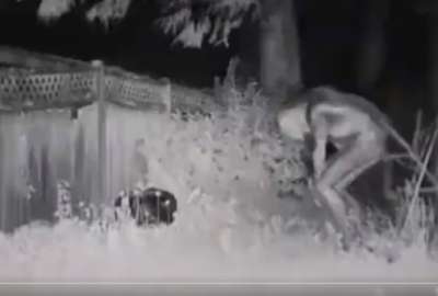 Difunden im&aacute;genes del supuesto extraterrestre que aterriz&oacute; en Las Vegas