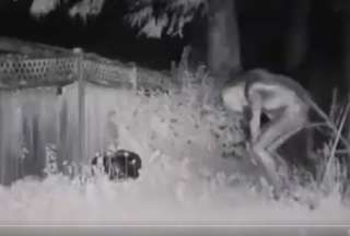 Difunden im&aacute;genes del supuesto extraterrestre que aterriz&oacute; en Las Vegas